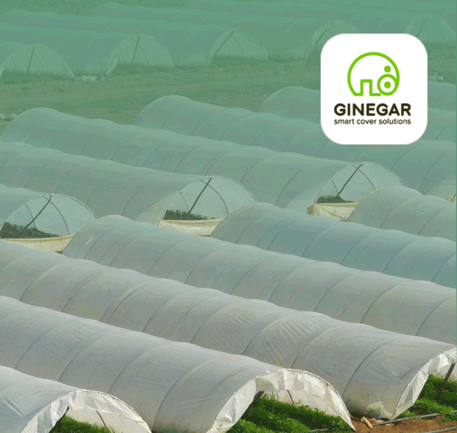 Greenhouses and Tunnels